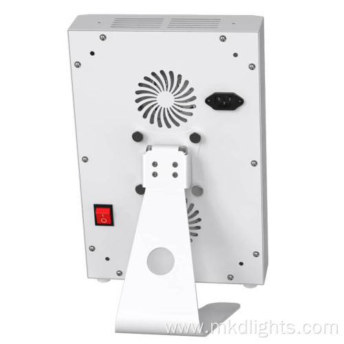 Red Light Therapy Lamp for Spa Center 300W